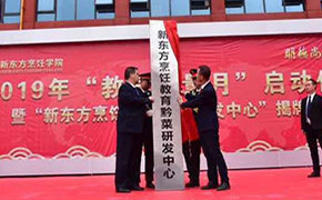 研发中心