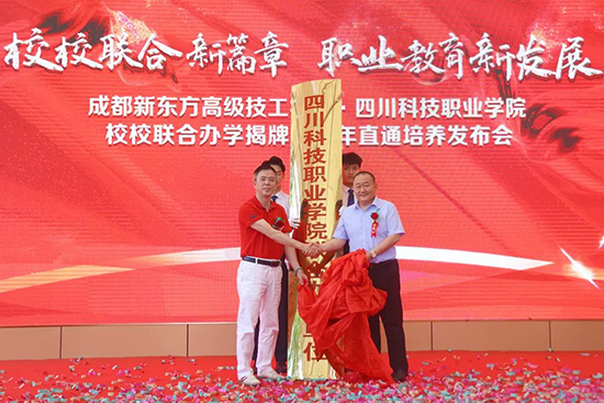 文化水平和技能,你会选择哪一个?