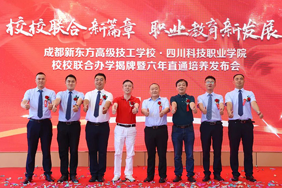 文化水平和技能,你会选择哪一个?
